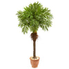 Nearly Natural 9557 68" Artificial Robellini Palm Tree in Terra Cotta Planter