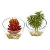 Nearly Natural 8460-S2 7" Artificial Green Succulent Plant in Slanted Glass Vase, Set of 2