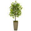 Nearly Natural 9946 46" Artificial Green Mini Ficus Tree in Green Planter