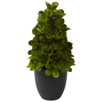 Nearly Natural 4964 Echeveria Cone Topiary