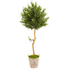 Nearly Natural 9341 63" Artificial Green Olive Topiary Tree in Farmhouse Planter