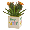 Nearly Natural P1311 11" Artificial Green Cactus Succulent Plant in New Baby Planter