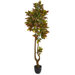 Nearly Natural 5570 6' Artificial Green Croton Tree