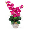 Nearly Natural Double Stem Phalaenopsis Silk Orchid Arrangement