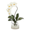 Nearly Natural 17`` Phalaenopsis Orchid Artificial Arrangement in Glass Vase