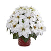 Nearly Natural A1255 21" Artificial White Poinsettia Arrangement in Red Vase