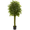 Nearly Natural 5531 5' Artificial Green Ficus Tree with Woven Trunk, UV Resistant (Indoor/Outdoor)