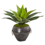 Nearly Natural 8625 15" Artificial Green Agave Succulent Plant in Decorative Planter