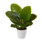 Nearly Natural P1647 11” Rubber Leaf Artificial Plant in White Planter (Real Touch)