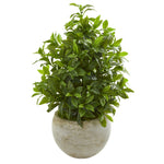Nearly Natural 8578 30" Artificial Green Real Touch Coffee Leaf Plant in Sandstone Bowl