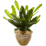 Nearly Natural 6926 13" Artificial Green Double Cactus in Glazed Clay Pot