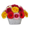 Nearly Natural 9`` Gerber Daisy Artificial Arrangement in White Tin Vase