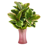 Nearly Natural P1552 19” Rubber Leaf Artificial Plant in Rose Planter (Real Touch)