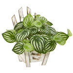 Nearly Natural 8868 8" Artificial Green Real Touch Watermelon Peperomia Plant in Chair Planter