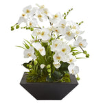 Nearly Natural A1363 23" Artificial Green & White Phalaenopsis Orchid & Succulent Arrangement in Vase