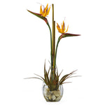 Nearly Natural Tropical Bird of Paradise Liquid Illusion Silk Arrangement