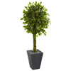 Nearly Natural 5738 5' Artificial Green Braided Ficus Tree in Slate Planter, UV Resistant (Indoor/Outdoor)