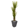 Nearly Natural 6432 5.5' Artificial Green Triple Stalk Yucca Plant in Slate Planter