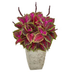 Nearly Natural 8845 34" Artificial Pink Coleus Plant in Country White Planter