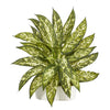 Nearly Natural 13``Aglonema Artificial Plant in White Planter