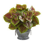 Nearly Natural 8613 15" Artificial Green & Maroon Real Touch Coleus Plant in Decorative Bowl