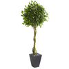 Nearly Natural 5611 6' Artificial Green Ficus Tree in Slate Planter, UV Resistant (Indoor/Outdoor)
