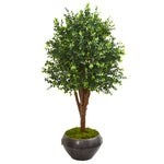 Nearly Natural 9698 50" Artificial Green Eucalyptus Tree in Metal Bowl, UV Resistant (Indoor/Outdoor)