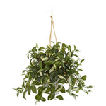 Nearly Natural 8932 28" Artificial Green Florida Beauty Plant in Tin Hanging Bucket