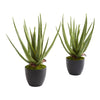 Nearly Natural 6352-S2 18" Artificial Green Aloe Artificial Plant, Set of 2