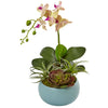 Nearly Natural 1496 17" Artificial Green & White Phalaenopsis Orchid & Succulents in Decorative Vase