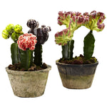 Nearly Natural 4843-S2 10" Artificial Colorful Cactus Gardens, Multicolor, Set of 2