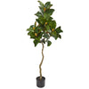 Nearly Natural 9123 53" Artificial Green Magnolia Tree in Black Pot