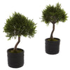 Nearly Natural 4965-S2 11.5" Artificial Green Cedar Bonsai with Planter, Set of 2