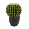 Nearly Natural 6327 14" Artificial Green Cactus Plant in Black Pot