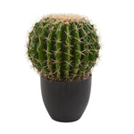 Nearly Natural 6327 14" Artificial Green Cactus Plant in Black Pot
