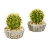 Nearly Natural 8657-S2 7" Artificial Green Cactus Plant in Weathered Planter, Set of 2