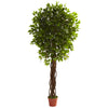 Nearly Natural 5379 7.5' Artificial Green Ficus Tree, UV Resistant Indoor/Outdoor