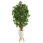 Nearly Natural T2216 6’ Black Olive Artificial Tree in White Planter with Stand