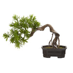 Nearly Natural 8323 20" Artificial Green Bonsai Styled Podocarpus Plant