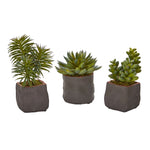 Nearly Natural 4232-S3 Artificial Green Mixed Succulent Trio Plant, Set of 3