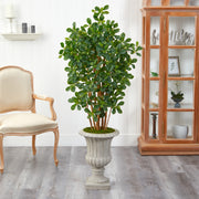 Nearly Natural T2456 63” Black Olive Artificial Tree in Sand Finished Urn