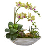 Nearly Natural 1714 Phalaenopsis Orchid & Succulent Artificial Arrangement in White Vase