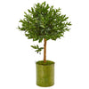 Nearly Natural 9313 3' Artificial Green Olive Topiary Tree in Green Planter, UV Resistant (Indoor/Outdoor)