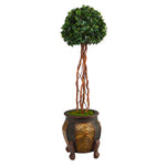 Nearly Natural T2206 4’ English Ivy Topiary Single Ball Artificial Tree in Decorative