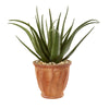 Nearly Natural 9787 27" Artificial Green Aloe Plant in Terra-cotta Planter