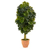 Nearly Natural T1383 5` Schefflera Artificial Tree in Terra-Cotta Planters