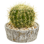 Nearly Natural 8721 9" Artificial Green Cactus Plant in Weathered Oak Planter