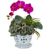 Nearly Natural Mini Phalaenopsis Orchid and Succulent in Planter