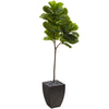 Nearly Natural T1143 5.5' Artificial Green Real Touch Fiddle Leaf Tree in Black Planter 