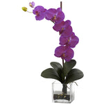 Nearly Natural Giant Phal Orchid w/Vase Arrangement